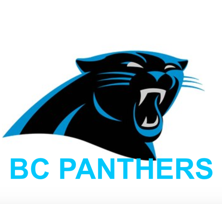 Bartow County Panthers logo